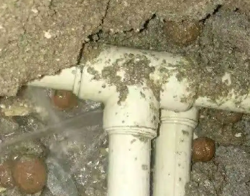 泉州市测漏水多少钱