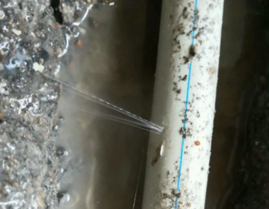 泉州市测漏水哪家好