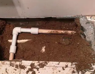 泉州市测漏水哪家好