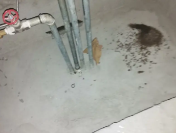 泉州市卫生间测漏水价格明细