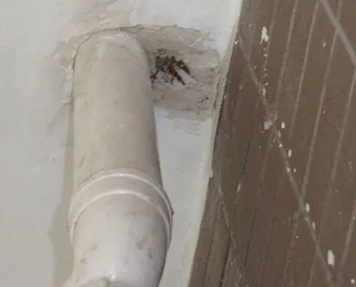 泉州市漏水检测哪家好